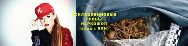 первитин Вязьма